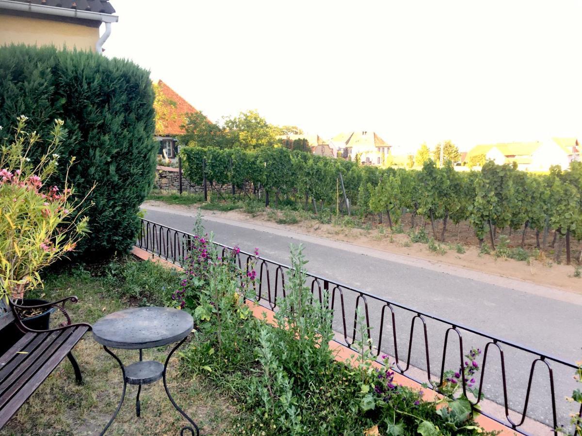 Ferienwohnung Suedpfalzblick Burrweiler Eksteriør billede